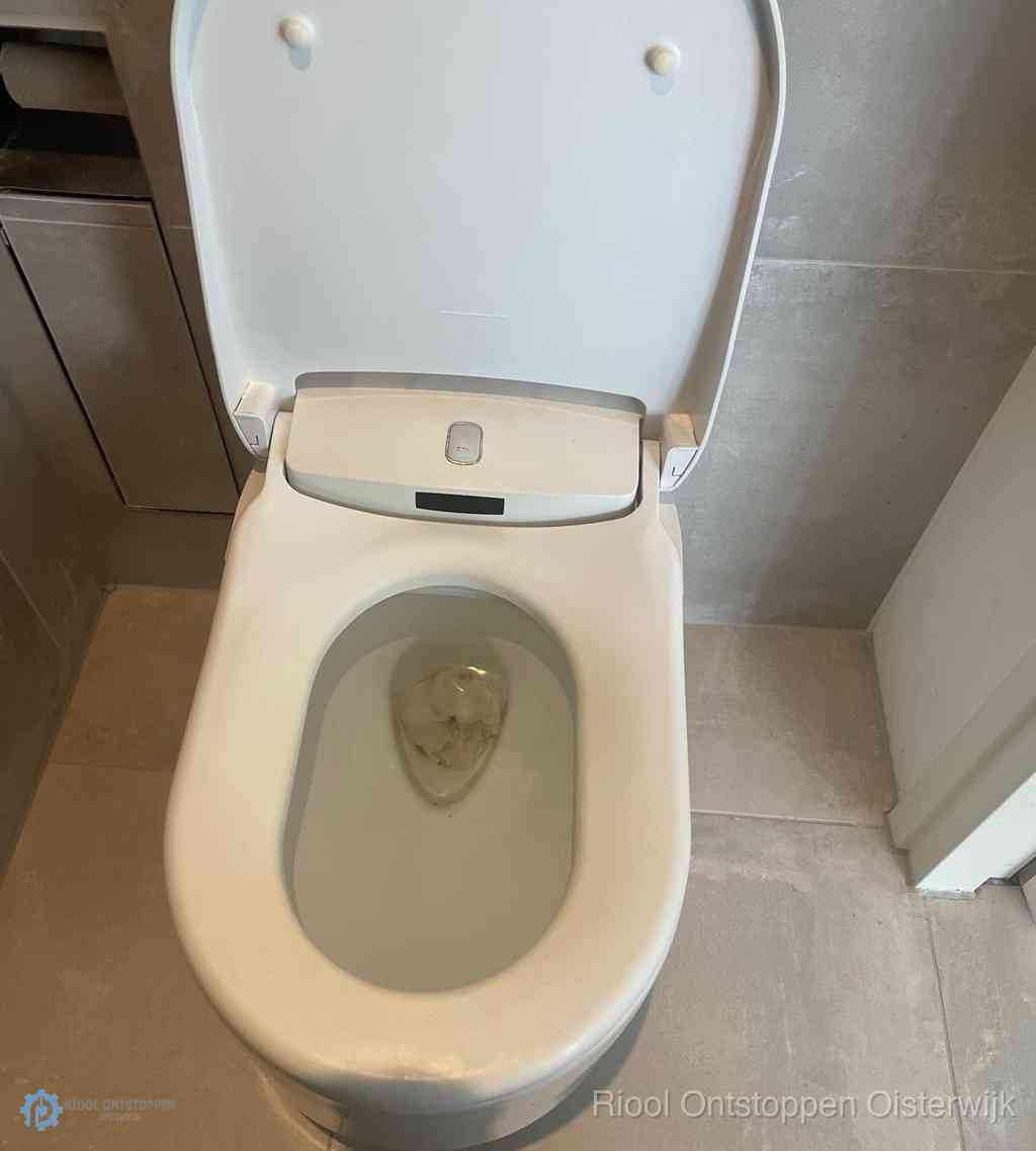 Toilet Ontstoppen Oisterwijk Toilet Ontstoppen Oisterwijk
